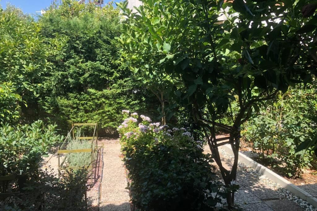 Ανακαινισμενη Μονοκατοικια 125 Τμ Στο Κεντρο Με Κηπο Villa Missolonghi Luaran gambar